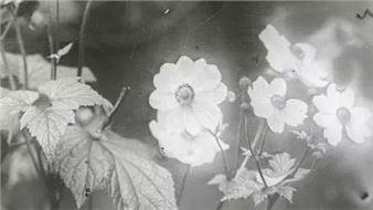 Eileen White: The Endless Turn and Return - City Space, Hampshire Cultural Trust