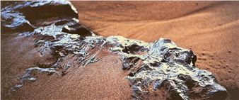 The Hammacher Archive - Museum Beelden aan Zee