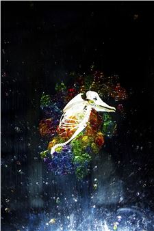 Jessie Turner: How animals see death - Museum of Australian Photography (MAPh)