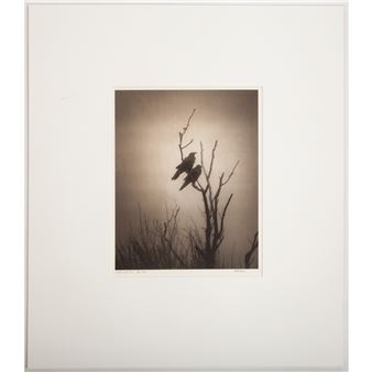 Odin's Cove #2 - Beth Moon