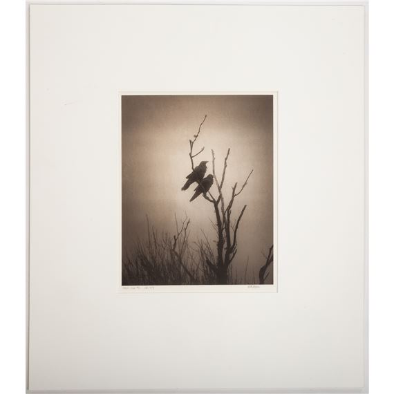 Odin's Cove #2 - Beth Moon