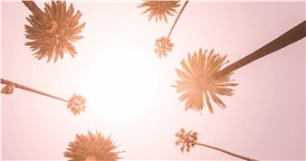 The Face, The Figure - Las Laguna Gallery