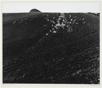 Robert Häusser | 187 Artworks at Auction | MutualArt