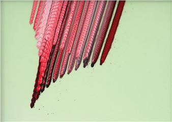 Tauba Auerbach: Clepsydra - Esther Schipper, Berlin