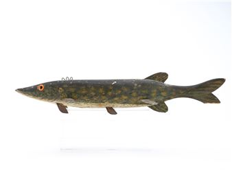 Pike fish - Chuck Hall