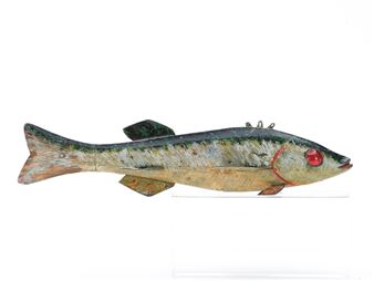 Walleye fish - Chuck Hall