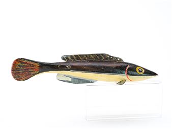 Eel fish - Chuck Hall