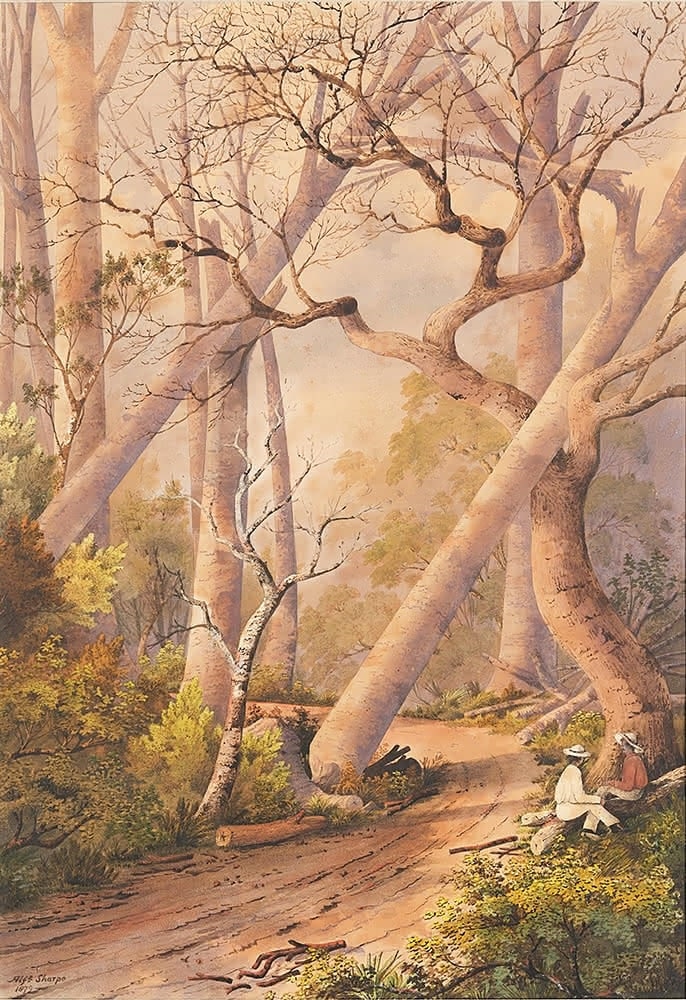 Alfred Sharpe | Skirt of Burnt Kauri Forest, Ruarangi (1879) | MutualArt