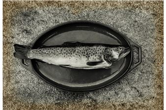 Oyster Shells; Fish (2 works) - Lilo Raymond