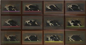 Twelve studies of cow skins - Jean-Pierre Saint