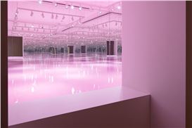 Pamela Rosenkranz “Liquid Body” at Stedelijk Museum, Amsterdam