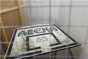 Tessa Lynch: Arena - Patricia Fleming Gallery