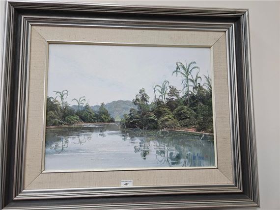 Reflections Daintree - John Milenkovic