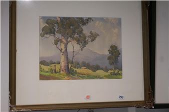 Gum trees - William L. Slack