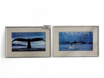 Bob Talbot | 4 Artworks at Auction | MutualArt