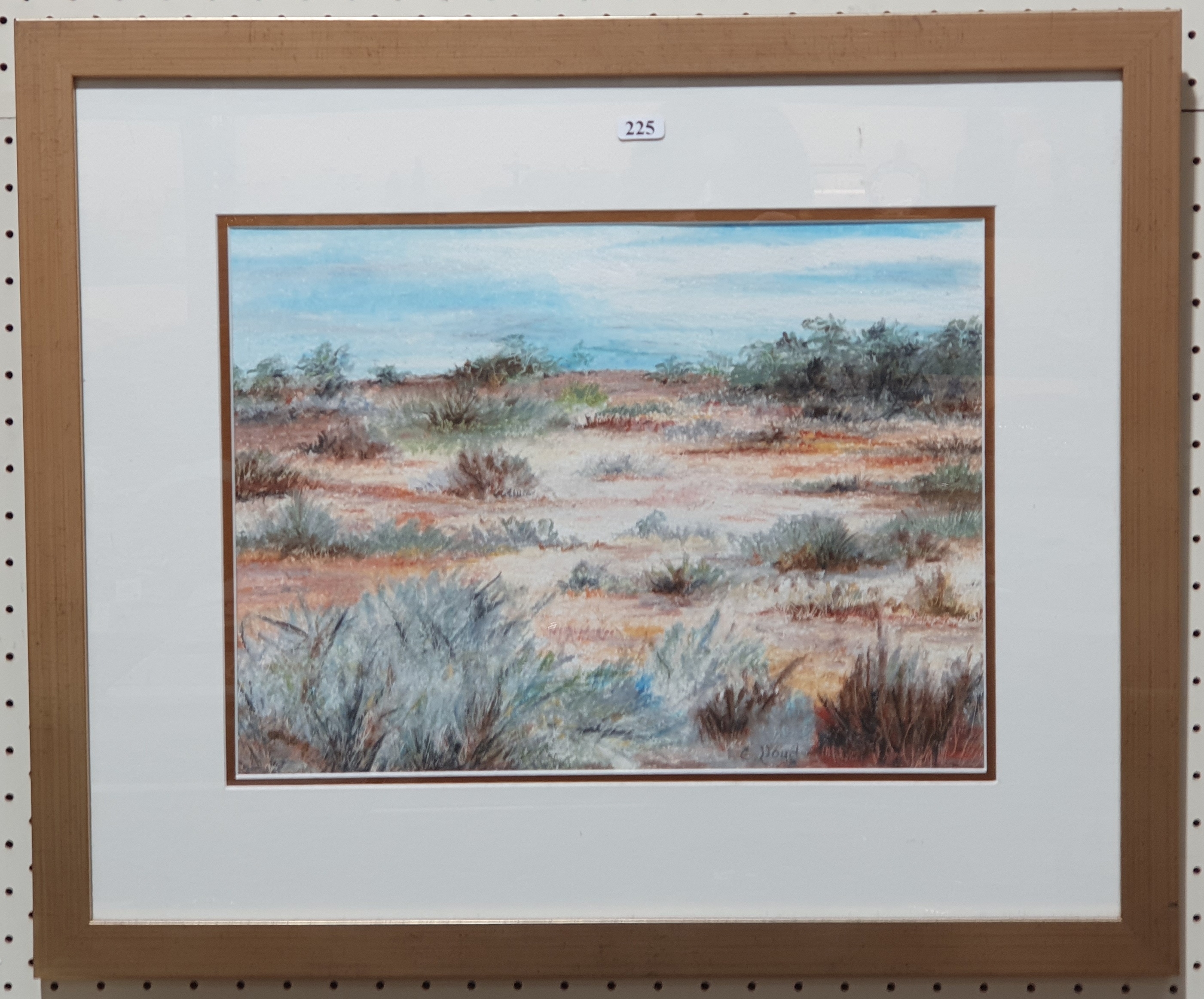 Artwork by Chrissie Lloyd, Saltbush Country, Broken Hill, Made of oil pastel on paper
