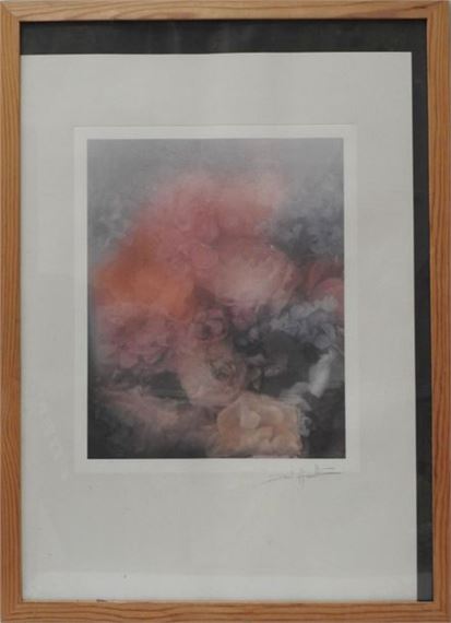 Flowers - David Hamilton