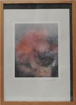 Flowers - David Hamilton