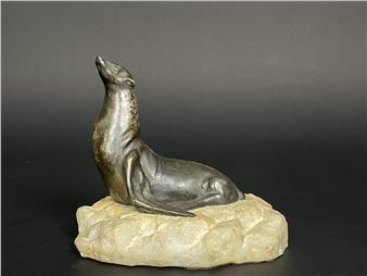 Sea lion on a rock - M. Migneaux