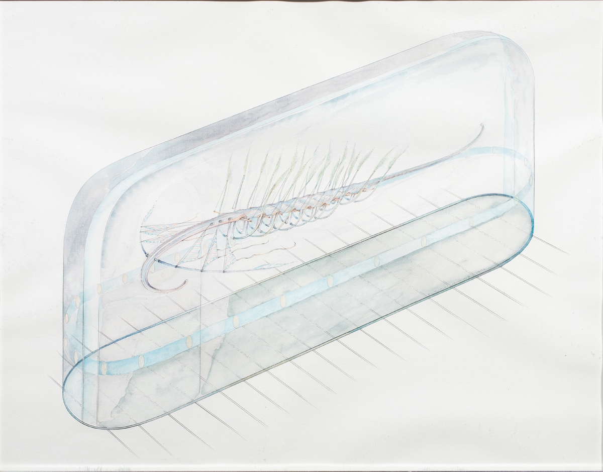 Artwork by Paul Ripley Jenkins, Untitled (Fishing Lures), Made of watercolor and graphite on paper