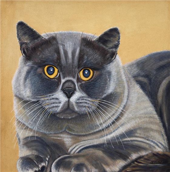 Wilson by Dagmar Cook