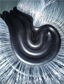 Marlie Mul: Das Budget - Kunsthaus Glarus