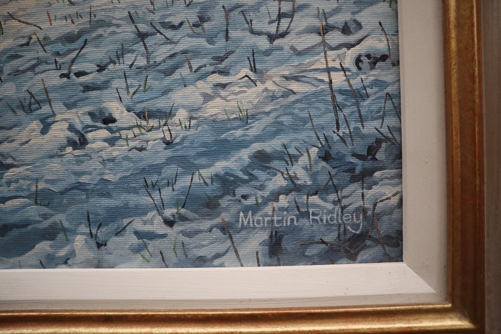 Martin Ridley | Martin Ridley Brown Hare Oil on board Signed and ...