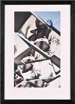 Rombie - Reatile Moalusi