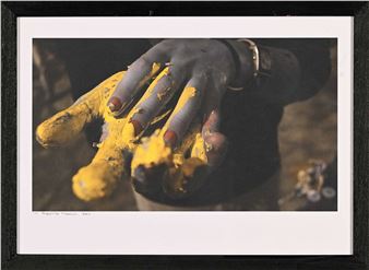 Yellow - Reatile Moalusi