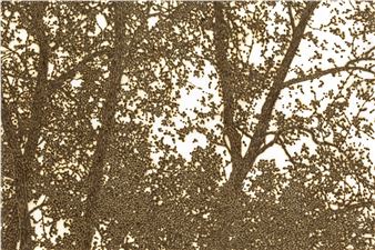 Olivier Kosta-Théfaine: Paysages De Banlieue - Alice