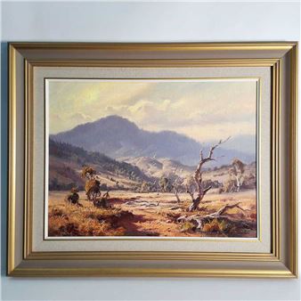Dry Season in the Flinders - Andris Jansons
