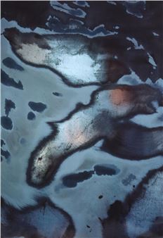 Abstract Color Photo Print - Randy Ehrlich