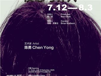 Chen Yong: Reflection and Intervention - Red Gate Gallery