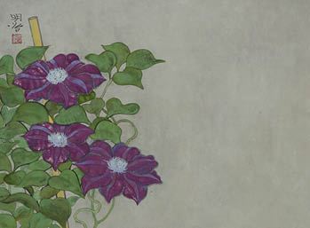 clematis - Meiji Hashimoto