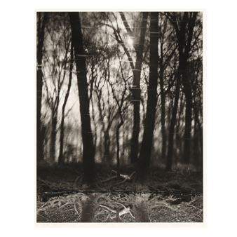 Image from a Past Life - Caroline H. Vaughan