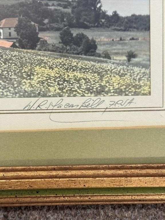 Wallace Robinson MacAskill | W.R MACASKILL HAND TINTED PHOTO ...
