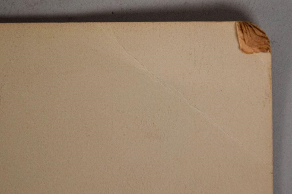 Artwork by Bill Traylor, dancing scene with figures, birds, snake, dog, Made of Tempera on found cardboard