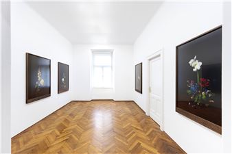 Jasmina Cibic: The Arrangement - Gandy Gallery