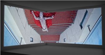 Hung-Chih Peng: Psychic Theater - Taipei Fine Arts Museum