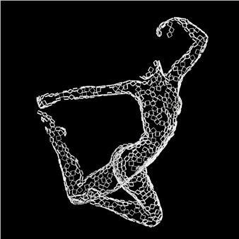 White Swan - Rainer Lagemann