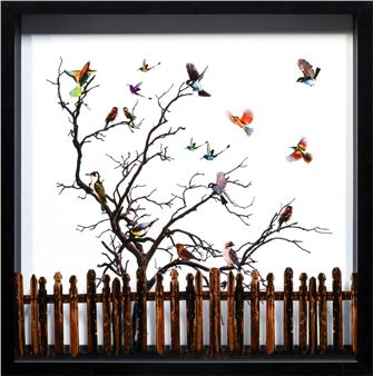 Behind the Fence - Jose Haro