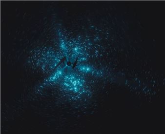 Julian Charrière’s ‘Midnight Zone’ Channels Abyssal Intensity to Inspire Ecological Awareness