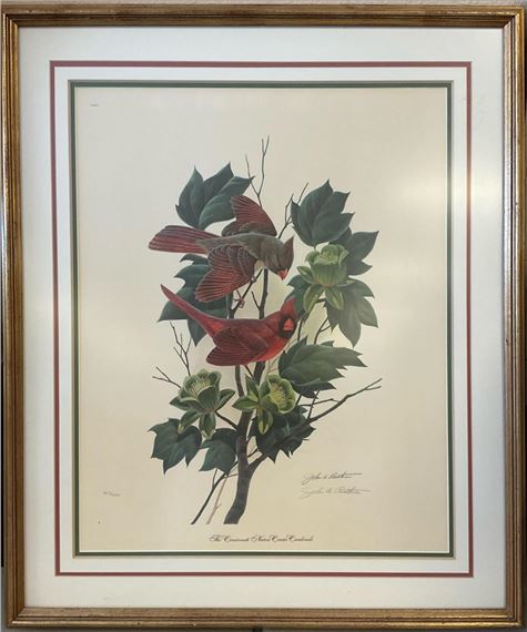 John Ruthven | Limited Edition John Ruthven “The Cincinnati Nature ...