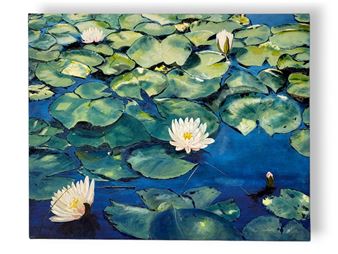 A water lily scene - Geri Samter