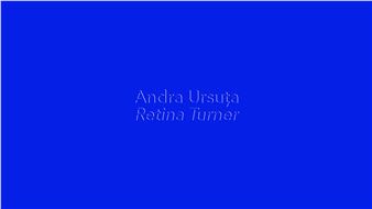 Andra Ursuța: Retina Turner - David Zwirner, New York (20th Street)
