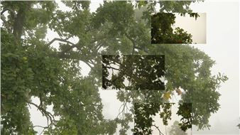 Eija-Liisa Ahtila: On Breathing - Marian Goodman Gallery, Paris
