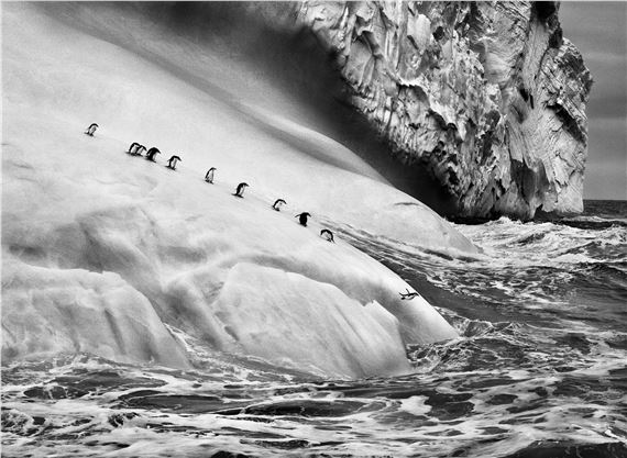 Sebastião Salgado: Retrospective - Fotografiska Shanghai