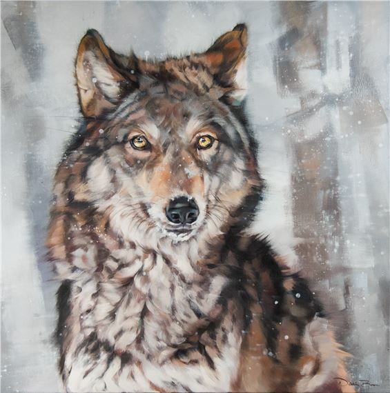 ‘Wolf in Winter’ by Debbie Boon