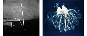 Nancy Wilson-Pajic: Object, shadow, text