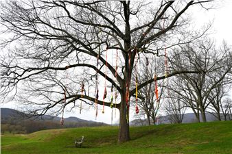 Ten Upstate Art Weekend Exhibitions That Justify the Drive